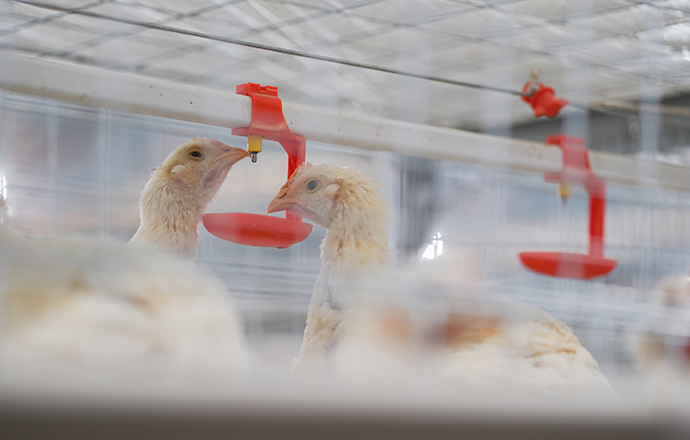 ???? ????? ????? ????? ??????